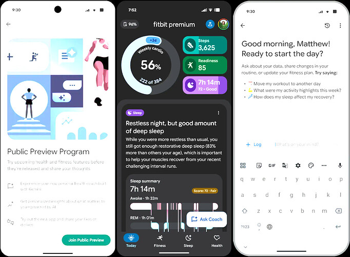 google fitbit